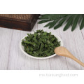 Sayur snek perkhemahan kering